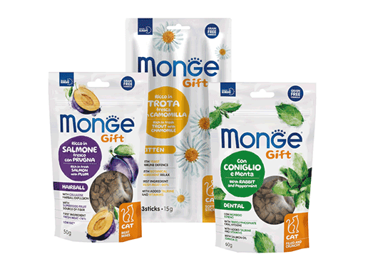 MONGE Gift priboljski macke