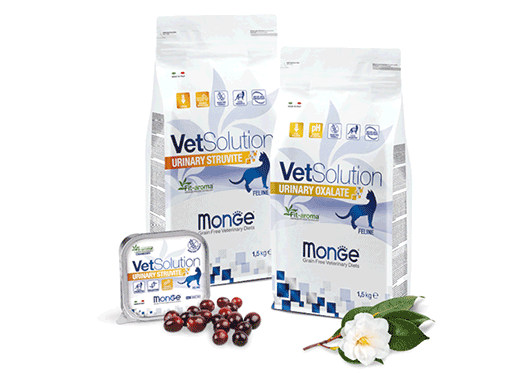MONGE VetSolution veterinarske diete macke